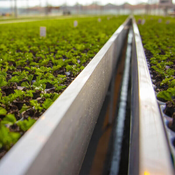 Grow Systems